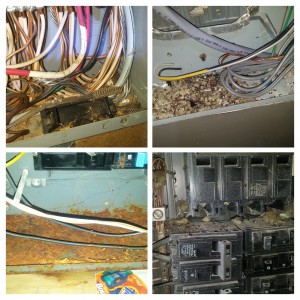 Electrical Panel Maintenance